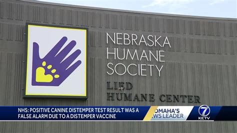 humane meanign|Nebraska Humane Society reports negative canine distemper retest.